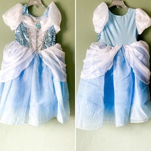 Cinderella Gown
